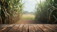 Empty Wooden Brown Table Top With Blur Background Of Sugarcane Plantation
