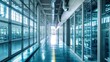 long glass corridor with rooms and ventilation pipes in a factory or plant, transparent storage areas with cabinets and shelves on the right