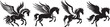 Pegasus, winged horse, black and white vector graphics