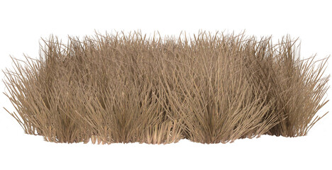 3d render dry dead grass path isolated