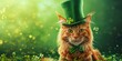 Cute ginger cat in green leprechaun hat and bow tie with clover leaves on green bokeh background. St. Patrick's day concept.