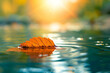 Closeup photo of an orange leaf floating on the surface of the water, sunny natural light