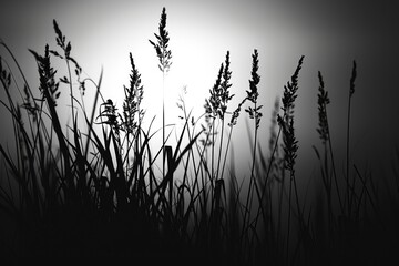 Canvas Print - A black and white photo capturing the beauty of tall grass. Perfect for adding a touch of nature to any project