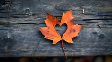 A Heart Shaped Leaf On A Wooden Bench