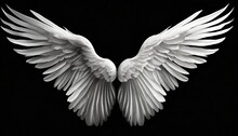 White Angel Wing Black Background Realistic