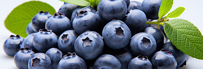 Wall Mural - fresh blueberries close up