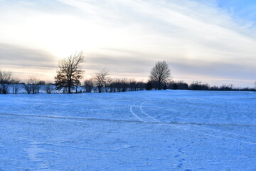 Canvas Print - Snowy Field