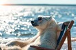 A majestic polar bear takes a break from the frigid waters to relax in a wooden chair, gazing out at the endless ocean and vast sky of its arctic home