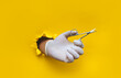 A man's hand in a white medical glove holds a nipper (scissors) for a pedicure and manicure.Yellow paper background with a torn hole in yellow paper.The concept of a master nails of people and animals