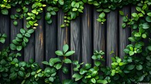 Fence Wall Texture Small Green Leaves Background