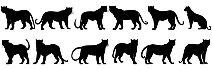 Wall Mural - Panther silhouettes set, large pack of vector silhouette design, isolated white background