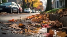 Close Up View Of Asphalt Road City In Autumn Covered With Fallen Dry Maple Leaves. Frog Eye Angle Photography Background Wallpaper