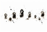 Dog paw foot print illustration, isolated on white background