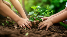 Close up of children hands planting a tree in the soil