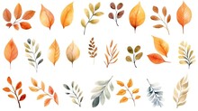Vector Watercolor Set Of Fall Leaves Maple Leaf Acorns Berries Spruce Branch Forest Design Elements Hello Autumn
