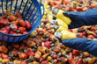 © Sanhanat - Closeup gardener hands holds  cashew apple fruits, Concept, agriculture crops. Check, inspect quality before being crop goods , production. Economic and export crops in Thailand. Seasonal fruits