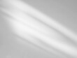 © wing-wing - Shadow Background wall Light white Abstract Backdrop Sunlight Sun Mockup Overlay Minimal Summer Gray Photography Black Modern Art Architecture Surface Bright Shape Leaves Branch Nature Smoot Desight.