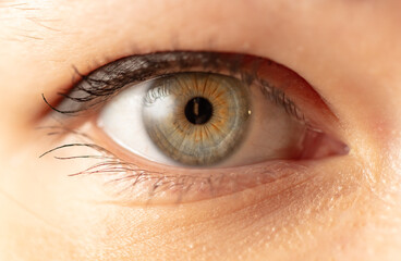 Close-up of a girl's eyes. Macro