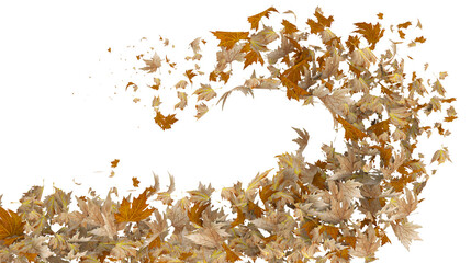 Wall Mural - wind leaves leaf autumn moving travelling flow isolated background 3d rendering