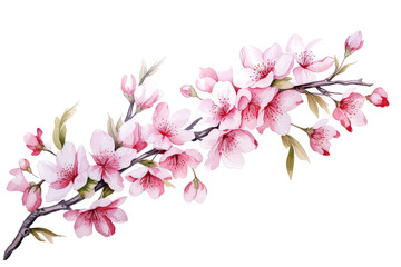 Wall Mural - Blooming apple tree on white background, valentines day concept