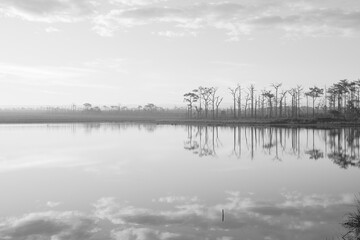 Wall Mural - Landscape blue nature of Pairat Thanchai Reservoir (Wang Kwang) with Pine tree in the Morning Sunrise at Phu Kradueng National Park - Peaceful and Calm view - Black and White Color Pattern