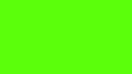 Cowboy hats exploding over green screen or chroma key. Headgear explosion across the screen. Sun hats burst background.