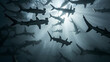 hammerhead sharks silhouette with rays of light underwater