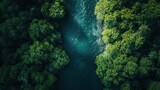 Fototapeta Natura -  an aerial view of a river in the middle of a forest with lots of green trees on both sides of the river and a boat in the middle of the water.