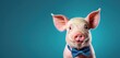  a close up of a pig wearing a bow tie and looking at the camera with a serious look on his face, on a blue background with a blue background.