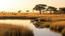  A Herd Of Animals Grazing On A Dry Grass Covered Field Next To A Small Pond In The Middle Of A Field With Tall Grass And Trees On Either Side Of The Water.