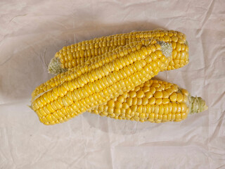 yellow colour corn with clear background images