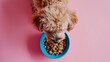  a dog eating food out of a blue bowl on a pink background with his head in the bowl and his nose in the dog's food bowl on top of the bowl.