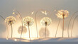 © Olga - a group of dandelions blowing in the wind on a sunny day with the sun shining through the leaves and the shadow of the dandelions on the wall.