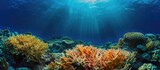 Fototapeta Do akwarium - Vibrant, scenic underwater scenery with deep acropora corals in tropical sea.