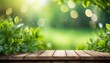 a fresh spring green garden foliage background with blurred bokeh