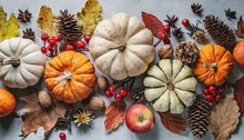 Autumn Holiday Frame From Decorative Pumpkins Dried Foliage Berry Pinecones And Acorns Top View Thanksgiving Day Harvest Autumn And Fall Background Top View