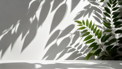 Canvas Print - blurred shadow from leaves plants on the white wall minimal abstract background for product presentation spring and summer