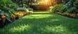 Green grass in the garden with sunlight. Nature and environment concept.