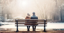 Rear View Of Couple In Love Sitting On Wooden Bench Under Trees In Winter Urban Park