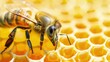 A honeycomb filled with worker bees, each with a specific task to fulfill.