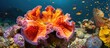 Underwater photography of vibrant marine life on a tropical coral reef, featuring a red saltwater clam (Ctenoides ales).