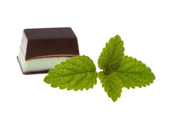 Poster - chocolate candies with mint isolated