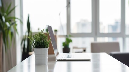 laptop stands on a table with plants in a bright modern office, minimalist style. open vacancy. concept of job search and freelancing