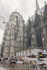 Wall Mural -  St. Stephen's 14th Century Catholic Cathedral. A carriage and a horse near St. Stephen's Cathedral in Vienna, Austria