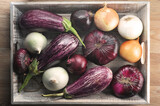 Fototapeta Sawanna - zucchini and different varieties of onions