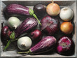different varieties of onions - green, yellow, white and red onions and zucchini