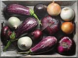 Fototapeta Dinusie - different varieties of onions - green, yellow, white and red onions and zucchini