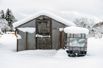 Wall Mural - garden in winter, greenhouse covered with snow, trees, garden house and garden accessories