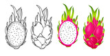 summer tropical fruits for healthy lifestyle red dragon fruit whole fruit and half vector illustration flat cartoon icon isolated on white.Vector eps 10	