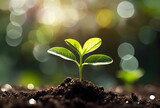 Fototapeta  - Close up of a young plant sprouting from the ground with green bokeh background, rich soil, ecology concept, World Soil Day, generative ai
